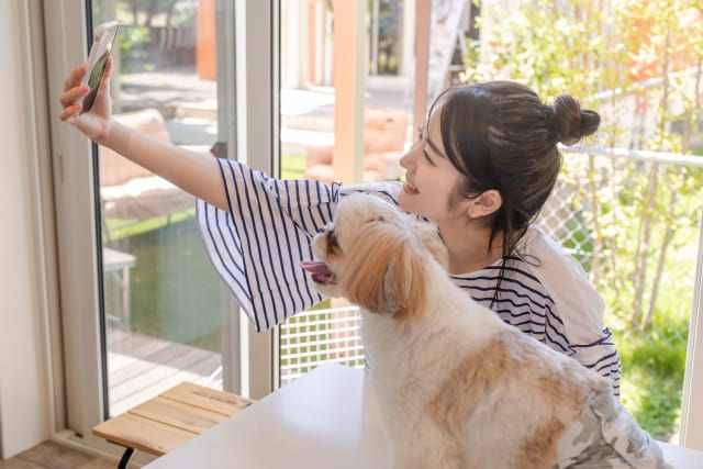 ペットと一緒に過ごす楽しい時間