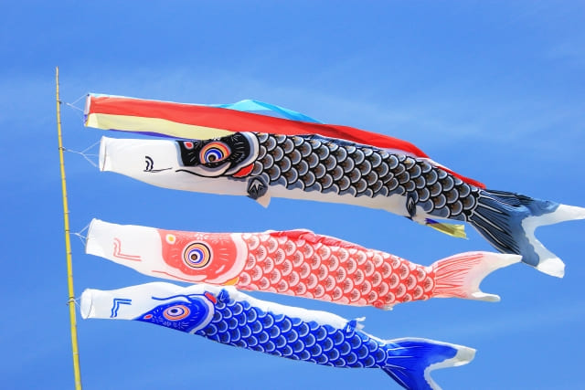 鯉のぼり