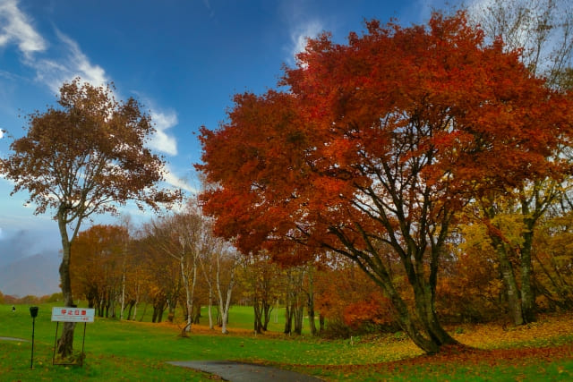 秋のゴルフ場