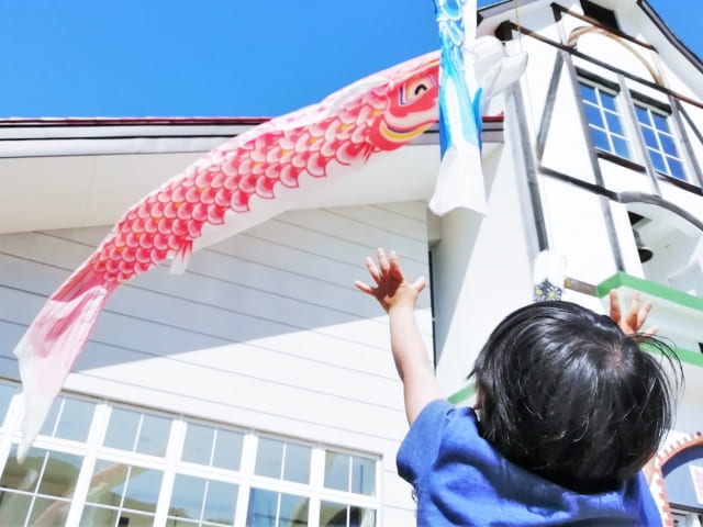 鯉のぼり