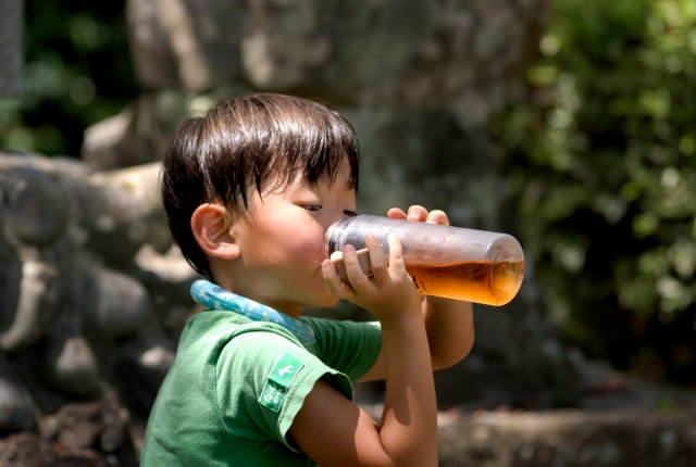 水分補給をする子ども