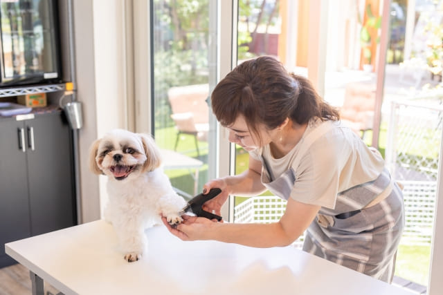 トリミングサロン